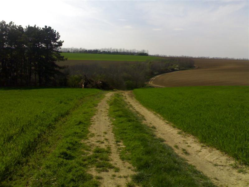 200704091687 .jpg